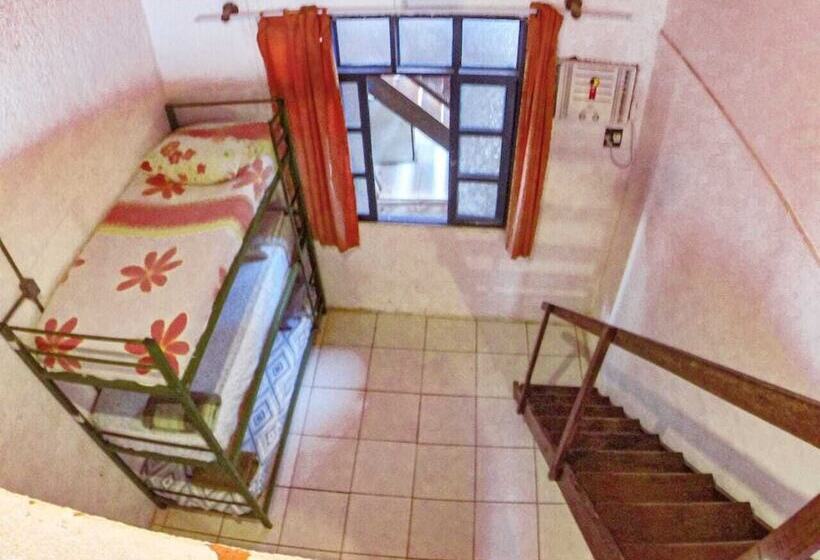 호텔 Pousada E Hostel La Pionera