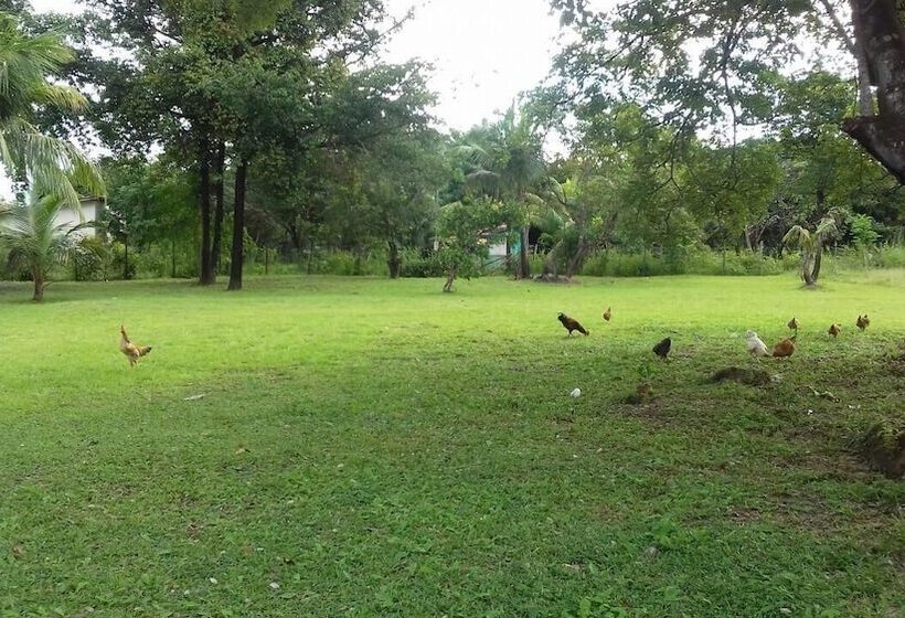 호텔 Pousada Recanto Do Sol