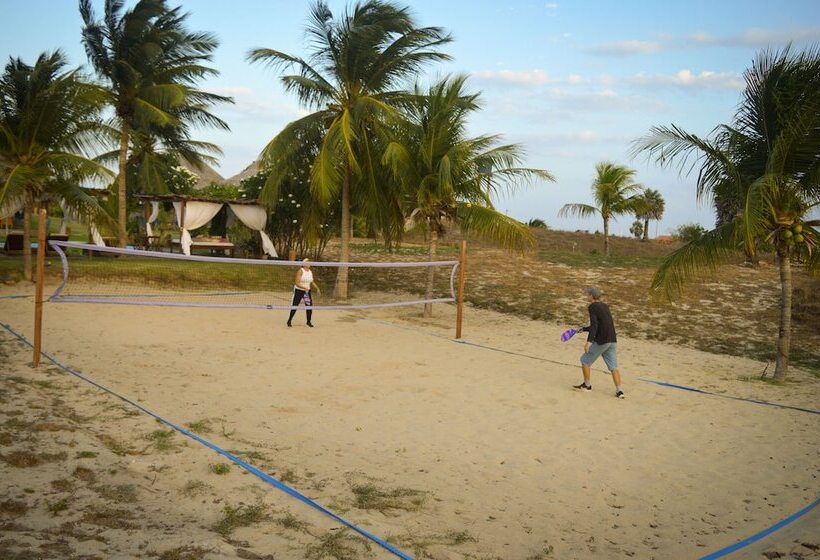 ホテル Pousada Theodora