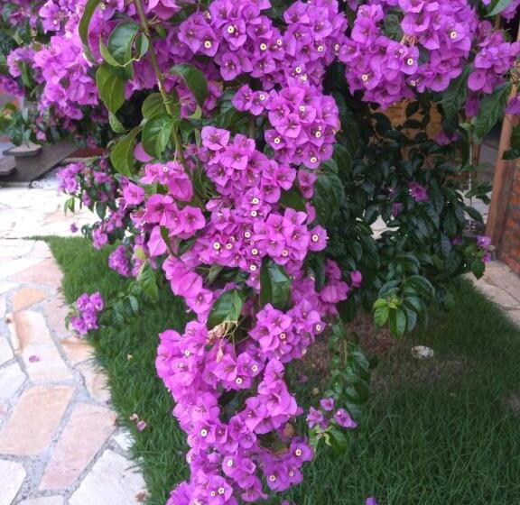 فندق Pousada Vila D  Itália