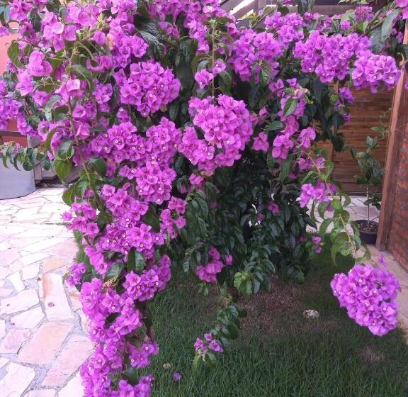 فندق Pousada Vila D  Itália