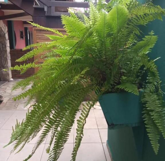 فندق Pousada Vila D  Itália