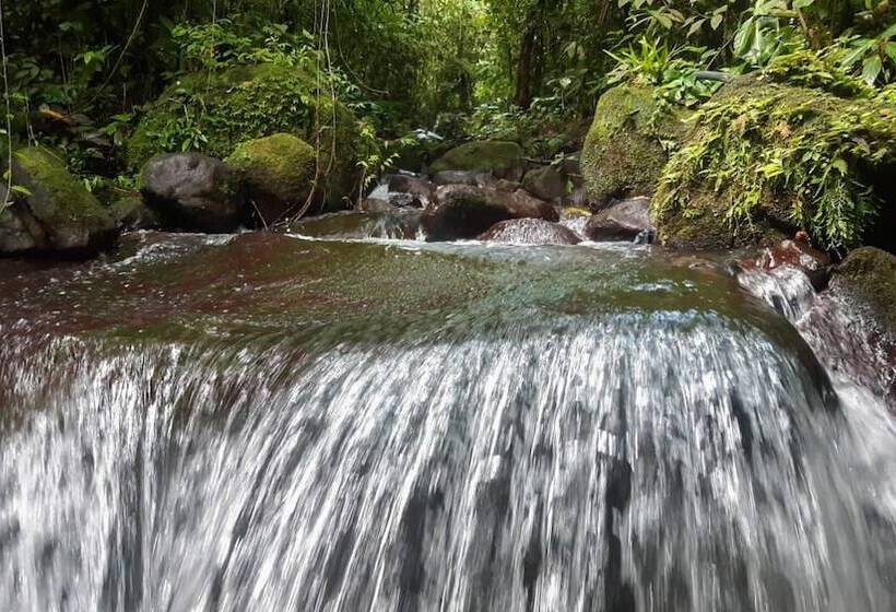 فندق Rio Celeste Family Lodge