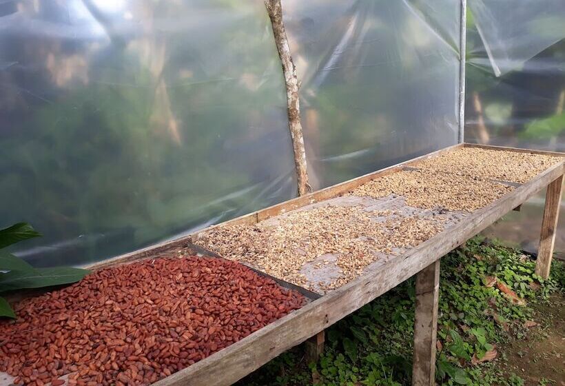 فندق Rio Celeste Family Lodge