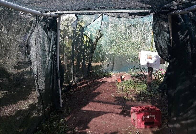 فندق Rio Celeste Family Lodge