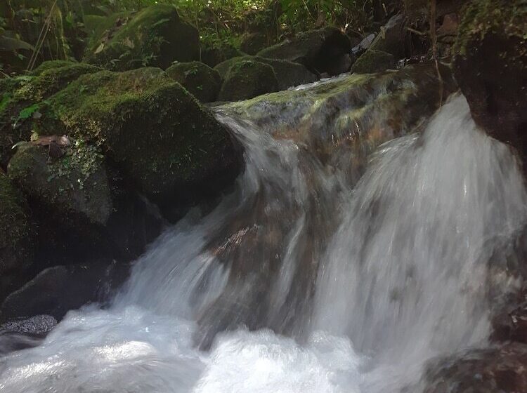 فندق Rio Celeste Family Lodge