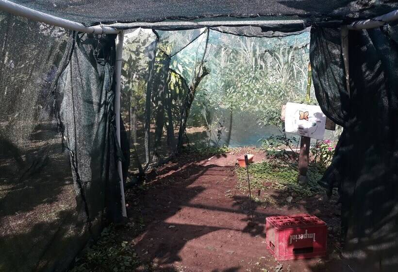 فندق Rio Celeste Family Lodge