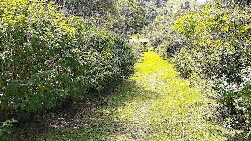 فندق Rio Celeste Family Lodge