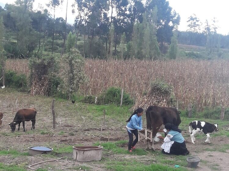 בית מלון כפרי Runa Tupari Homestay Lodge