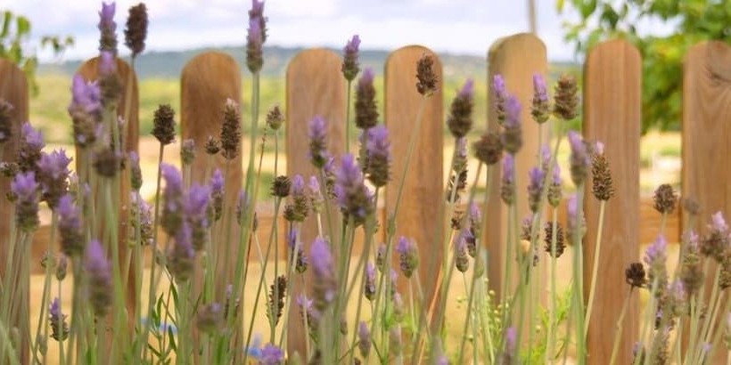 田舎風ホテル Agroturismo Es Rafalet