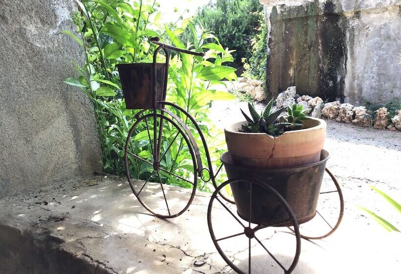 田舎風ホテル Agroturismo Es Rafalet