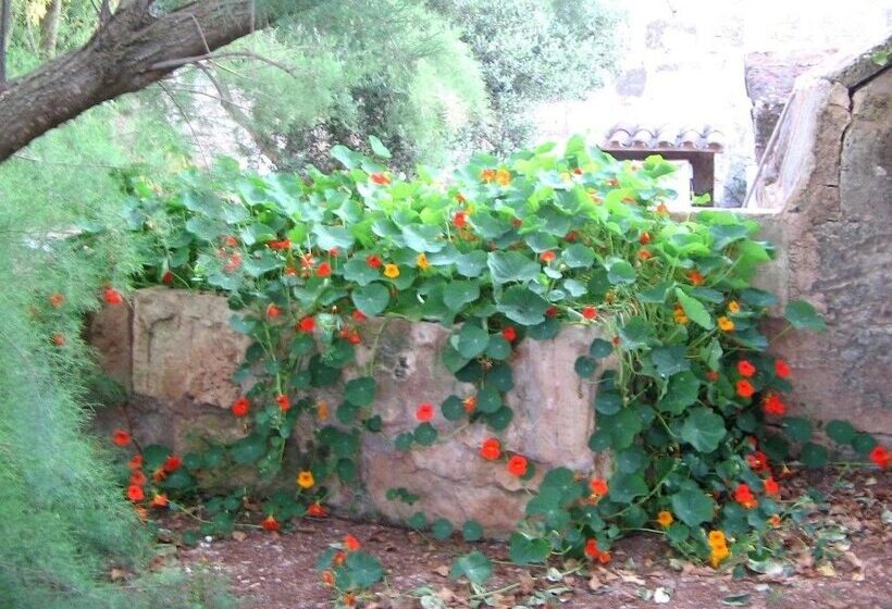 田舎風ホテル Agroturismo Finca Sant Blai