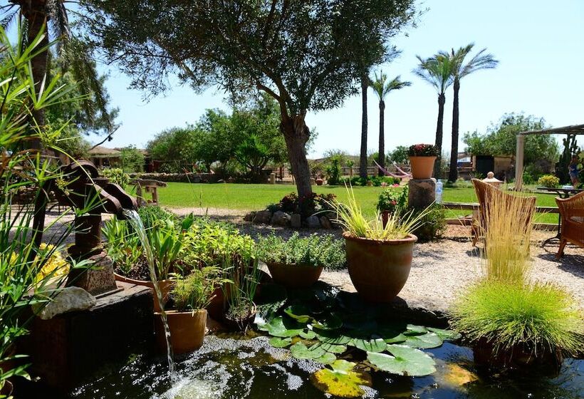 田舎風ホテル Agroturismo Finca Sant Blai