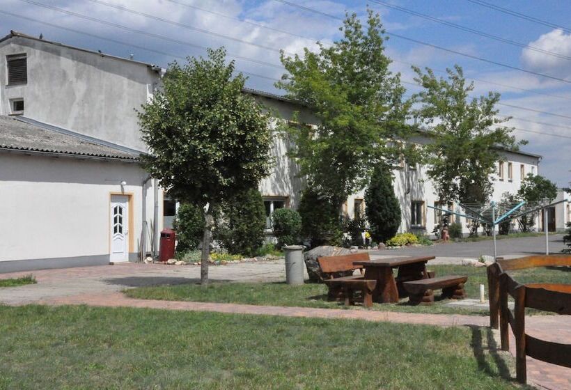 فندق ريفى Haflingerhof Noack