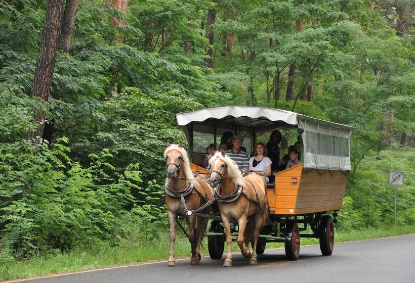 فندق ريفى Haflingerhof Noack