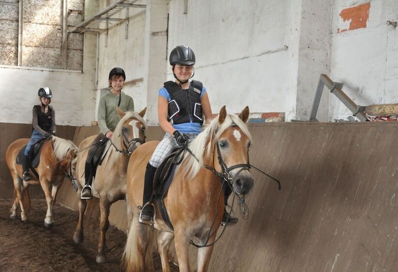 هتل روستایی Haflingerhof Noack