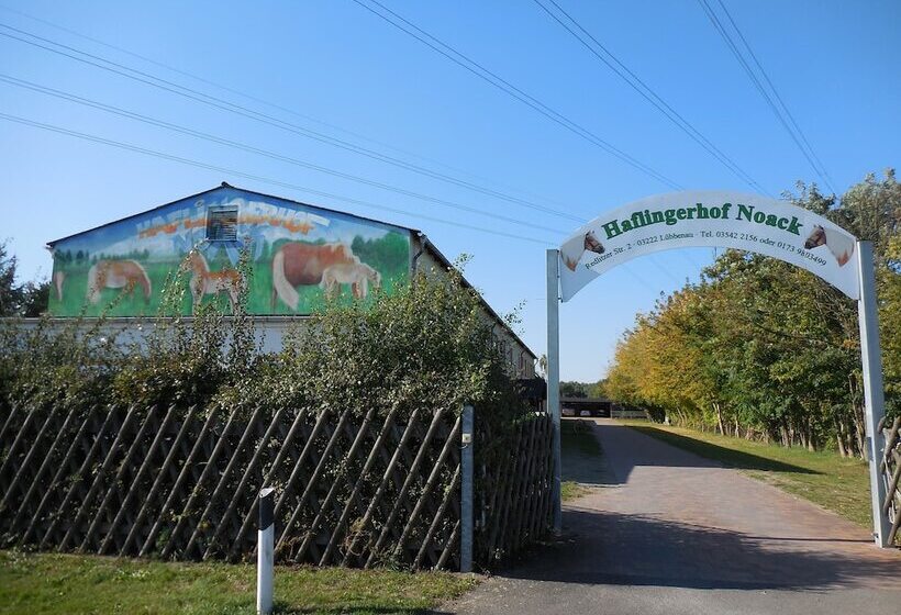 فندق ريفى Haflingerhof Noack