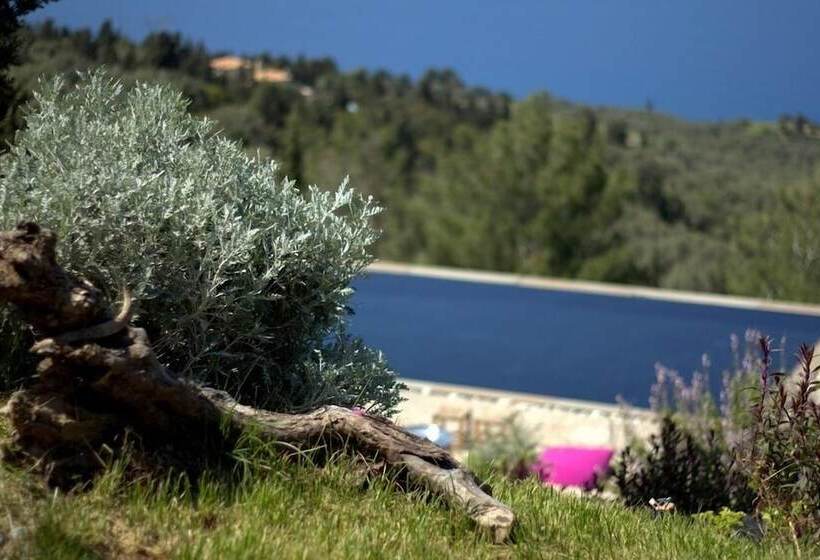 فندق Serenity Boutique Suites