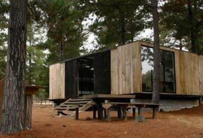 ホテル Surf Lodge Punta De Lobos