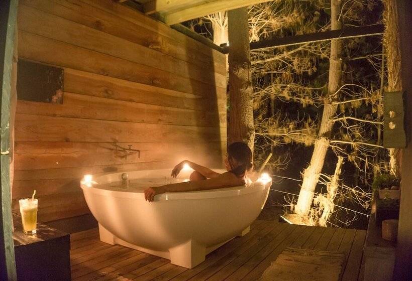 ホテル Surf Lodge Punta De Lobos