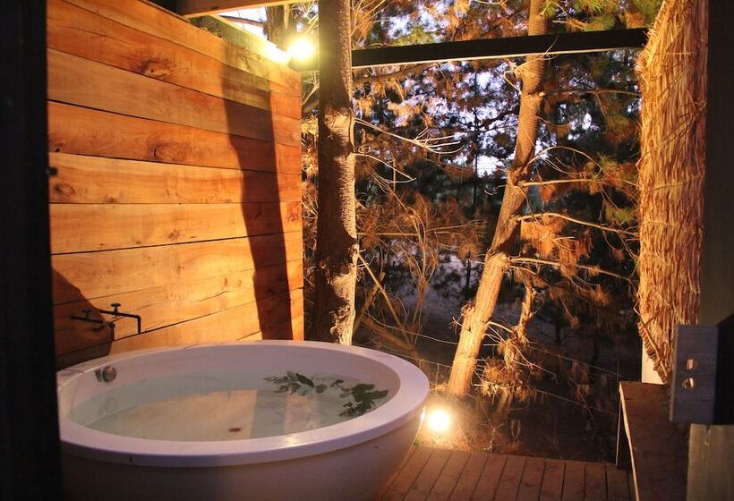 ホテル Surf Lodge Punta De Lobos