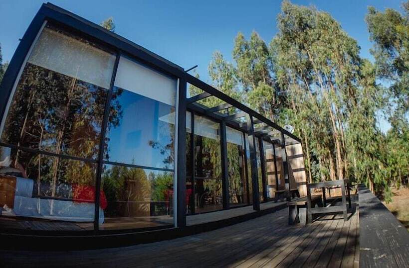 ホテル Surf Lodge Punta De Lobos