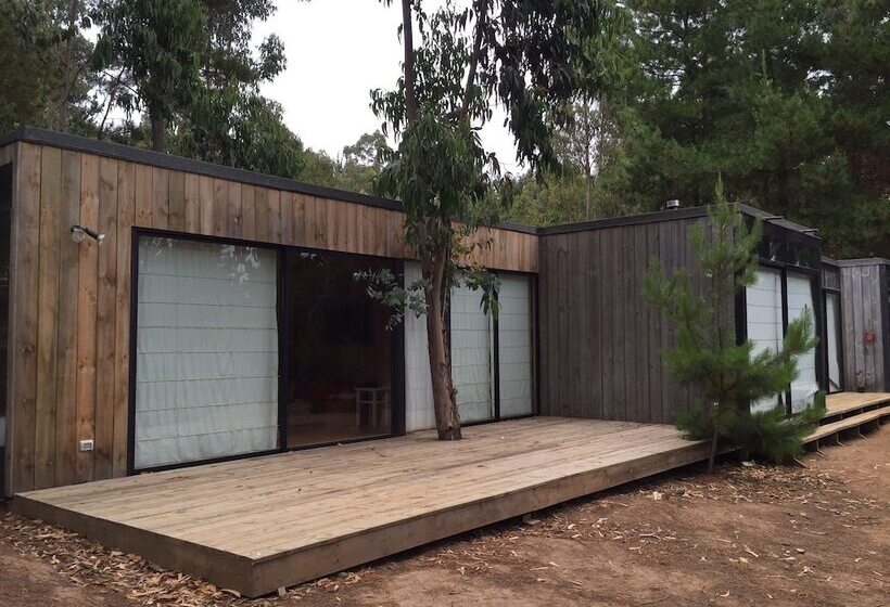 ホテル Surf Lodge Punta De Lobos