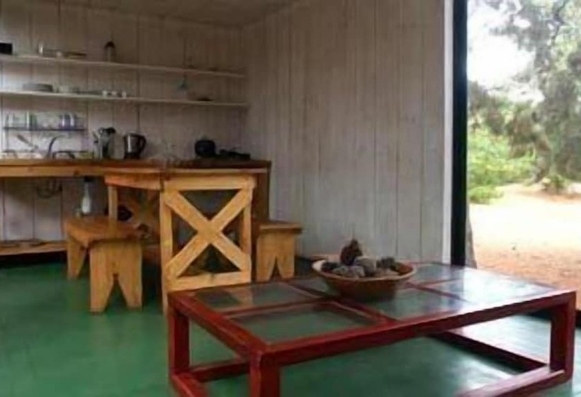 ホテル Surf Lodge Punta De Lobos