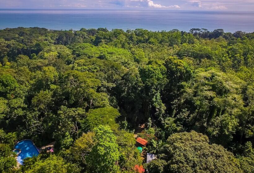 호텔 The Goddess Garden