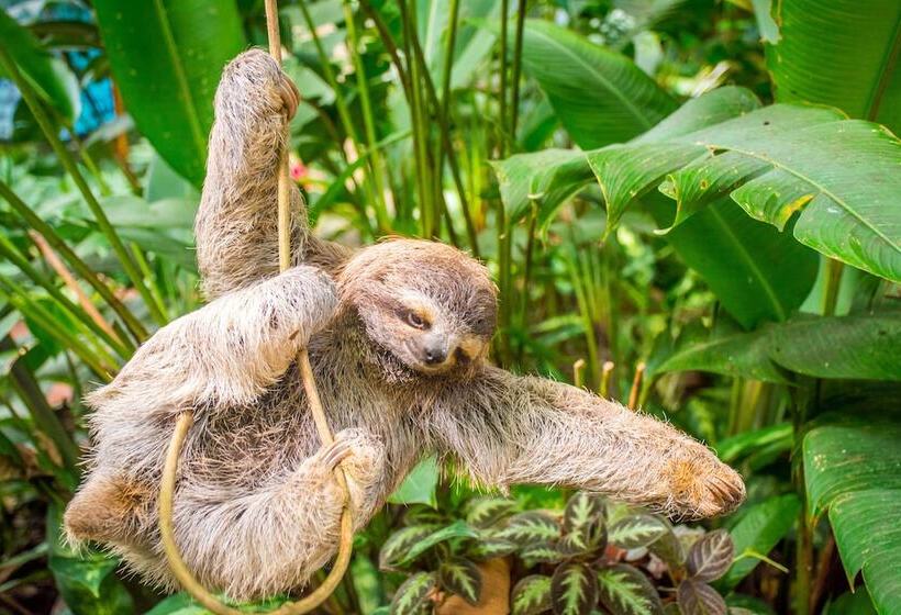 호텔 The Goddess Garden