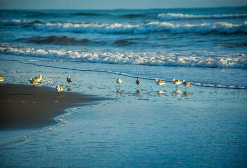 호텔 The Goddess Garden