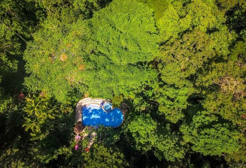 호텔 The Goddess Garden