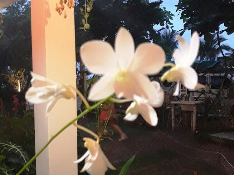 בית מלון כפרי The Sea Garden House