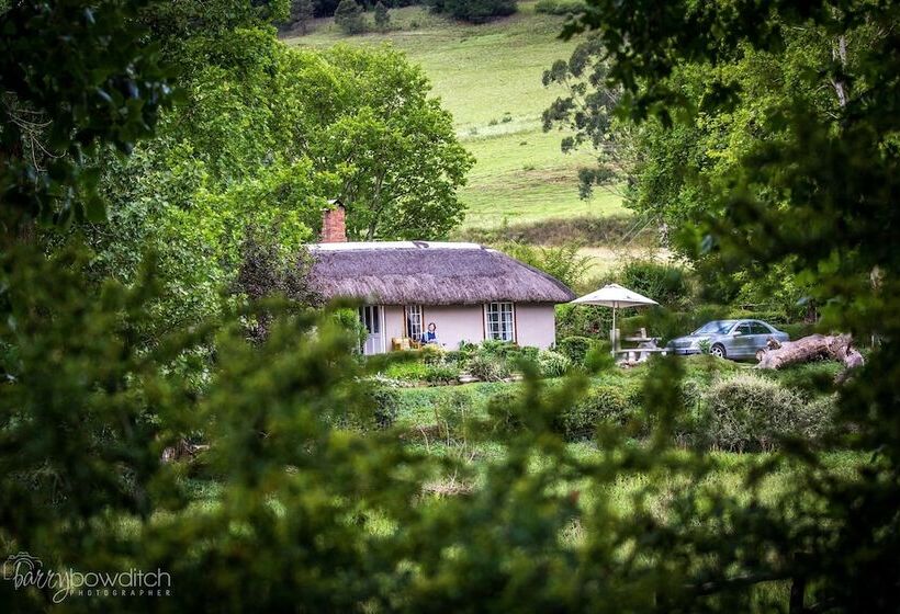Отель Umzimkulu River Lodge