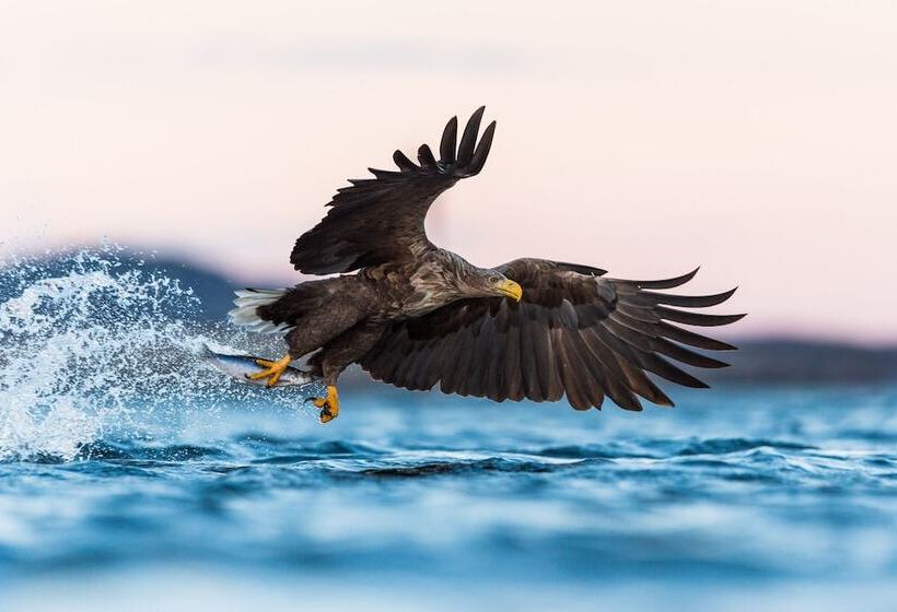 ホテル Veiholmen Brygge