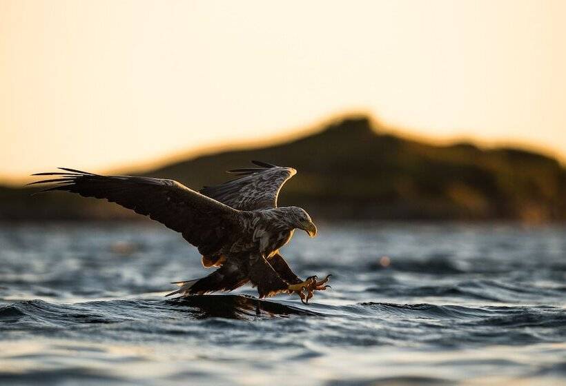 ホテル Veiholmen Brygge