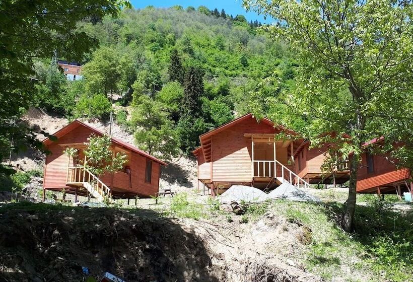 Отель Zezemere Pansiyon