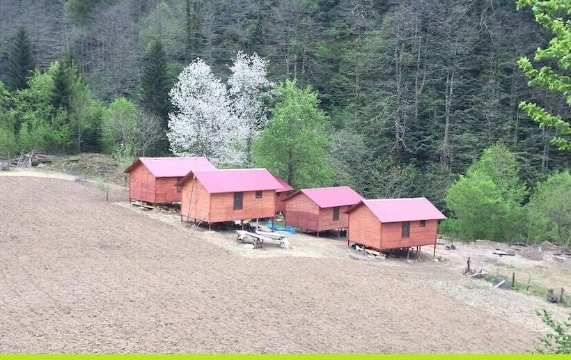 Отель Zezemere Pansiyon