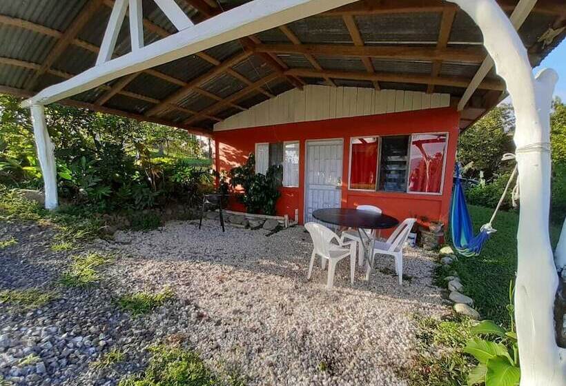 Little Paradise Hostel