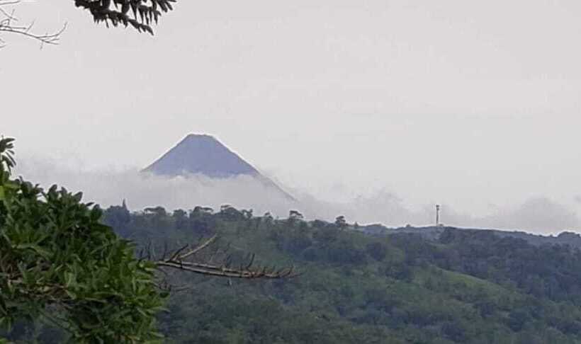 Little Paradise Hostel