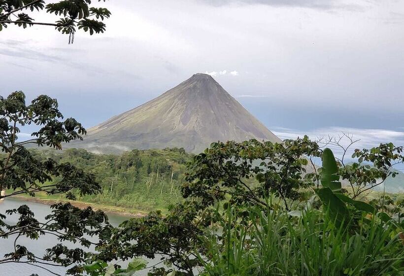 Little Paradise Hostel