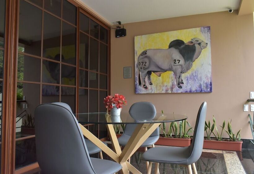 Luxva Hotel Boutique