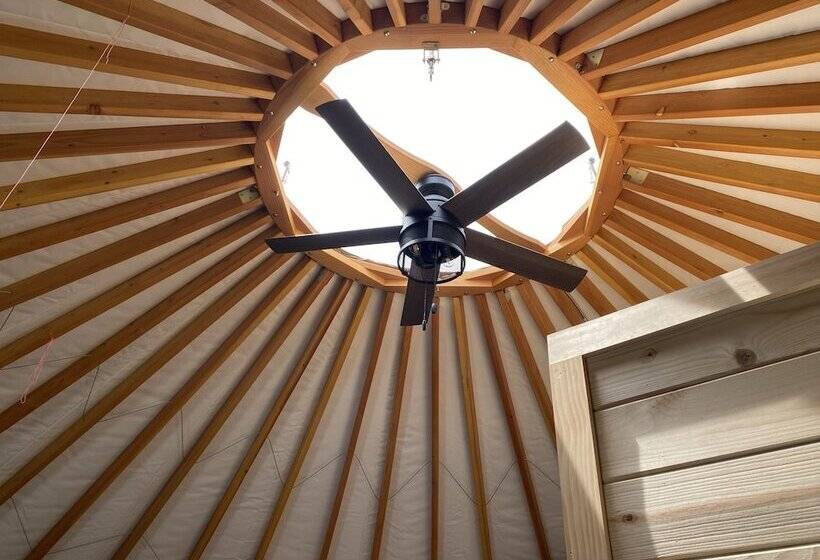 Maggie Valley Cabin Rentals