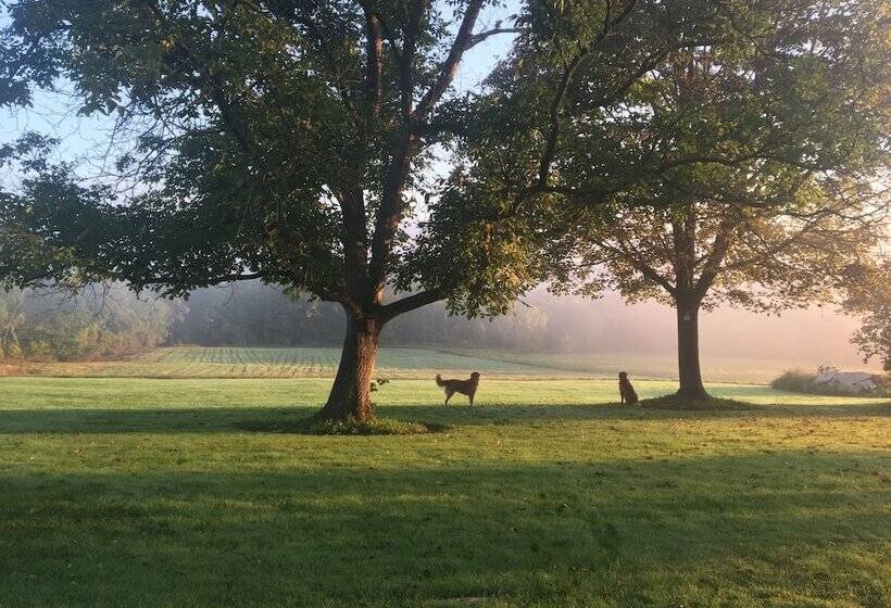 Mallard Cottage   Pet Friendly