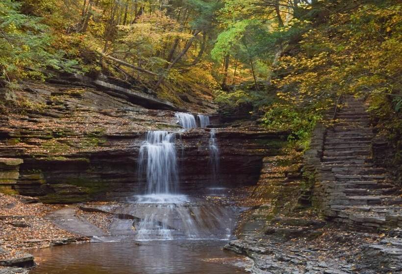 Mallard Cottage   Pet Friendly