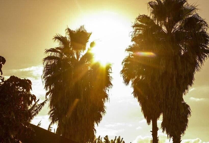 Marae Premium Cabins