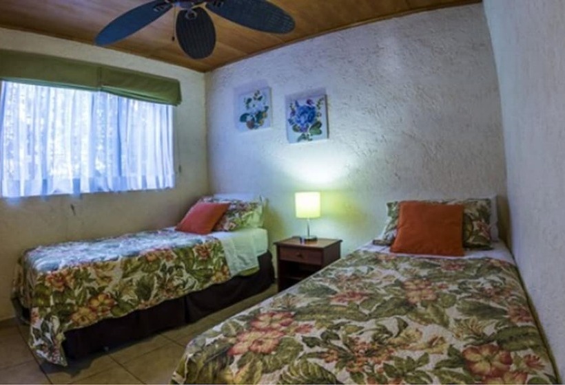 Marae Premium Cabins