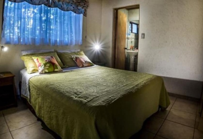 Marae Premium Cabins