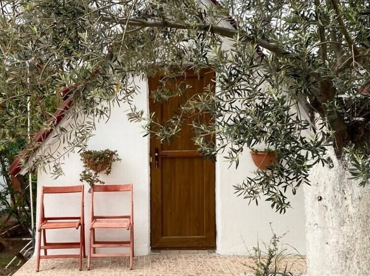 Memo's Garden Butik Otel