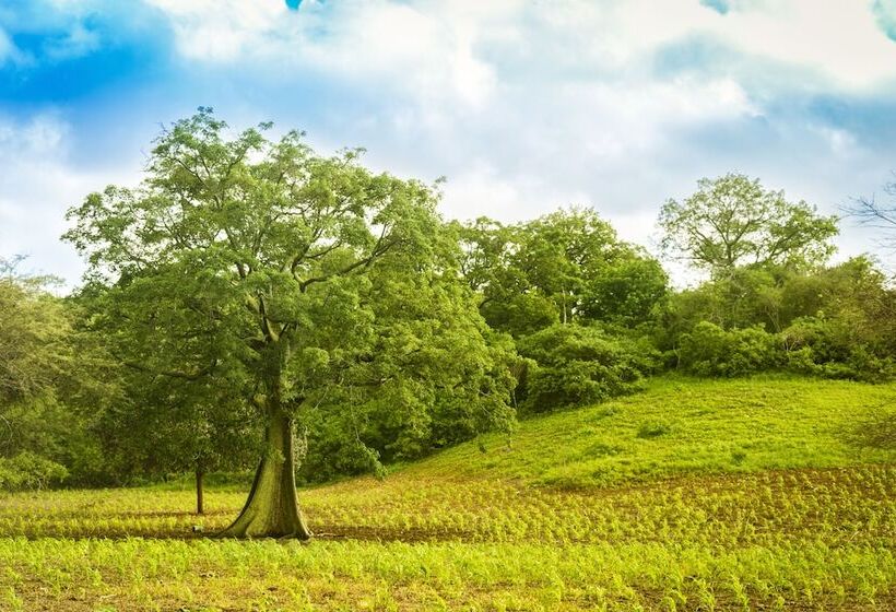 Montecristi Golf Resort & Villas